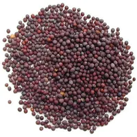 https://cdn.sybazzar.com/public/200-200/files/FBC43B0157C2F8E-mustard seed 1.jpg